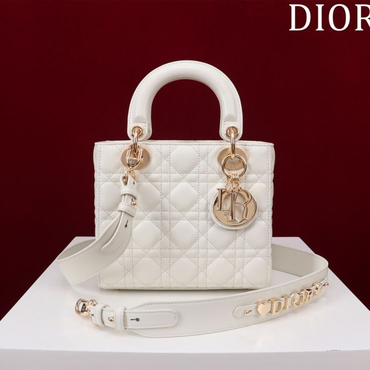 chr1st1an D10r my lady bags